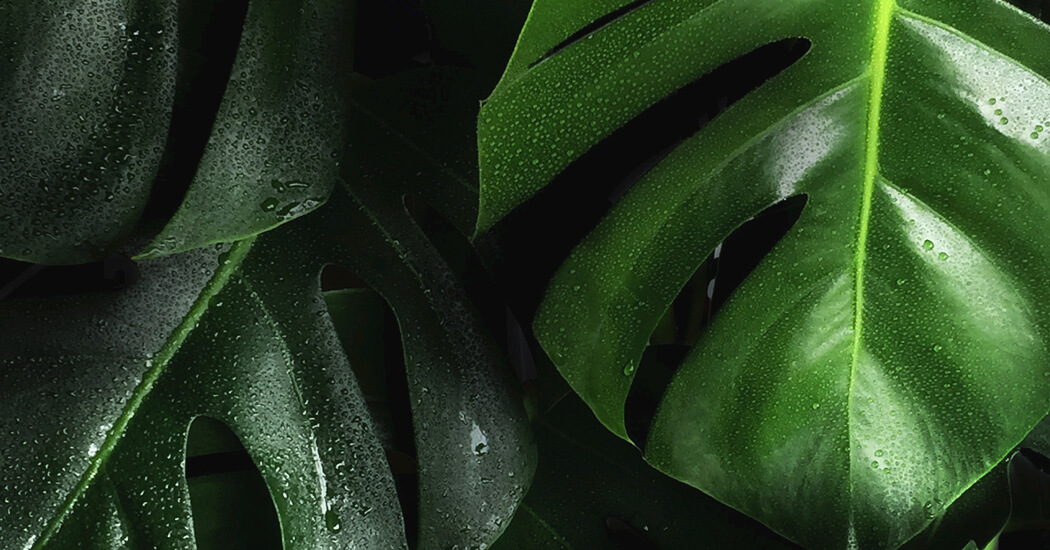 UX/UI Design Ausbildung: UI-Design mit Komponenten